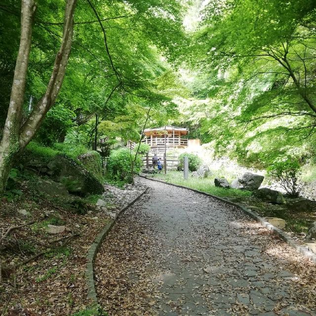 [佐賀]ショートTrip✨マイナスイオンに癒される場所❤️「清水の滝」