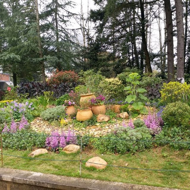 花花🌺🌷🥀🌻🌼🌸公園