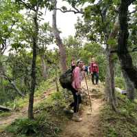 ดอยหลวงตาก ที่คนสายเดินป่าไม่ควรพลาด