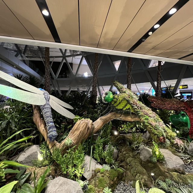 ✈️ Changi Airport mini garden