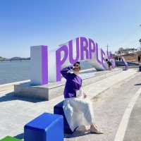 온세상이 보라보라해 💜 신안 핫플 “퍼플섬”🏝️
