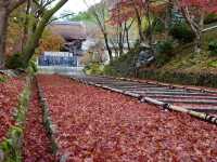 【京都】京都随一の紅葉スポット！毘沙門堂門跡をご紹介