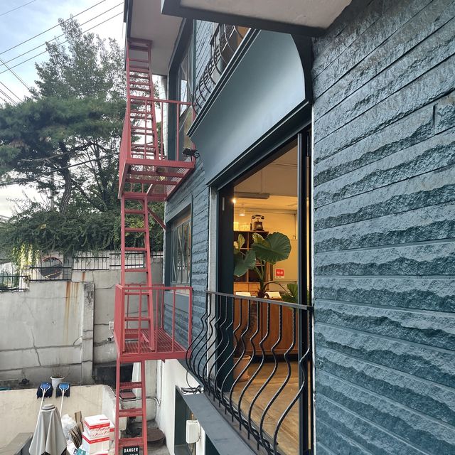 현시각 가장 핫한 디저트 코끼리 베이글🥯