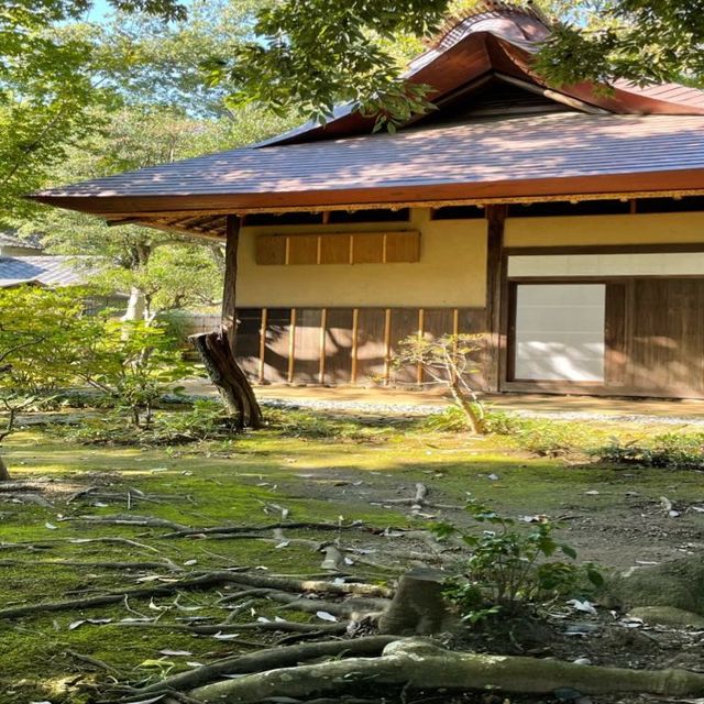 【神奈川県】小田原市 老欅荘(ろうきょそう)