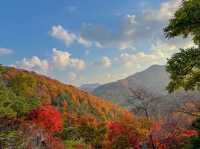 단풍이 너무 예쁘게 물든 화담숲🍁🧡