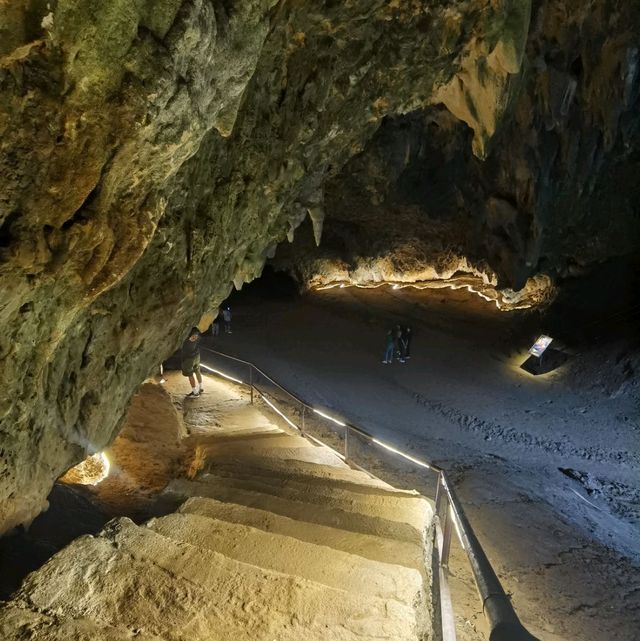อุทยานแห่งชาติถ้ำหลวง-ขุนน้ำนางนอน