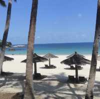 Island Paradise at our Doorstep 