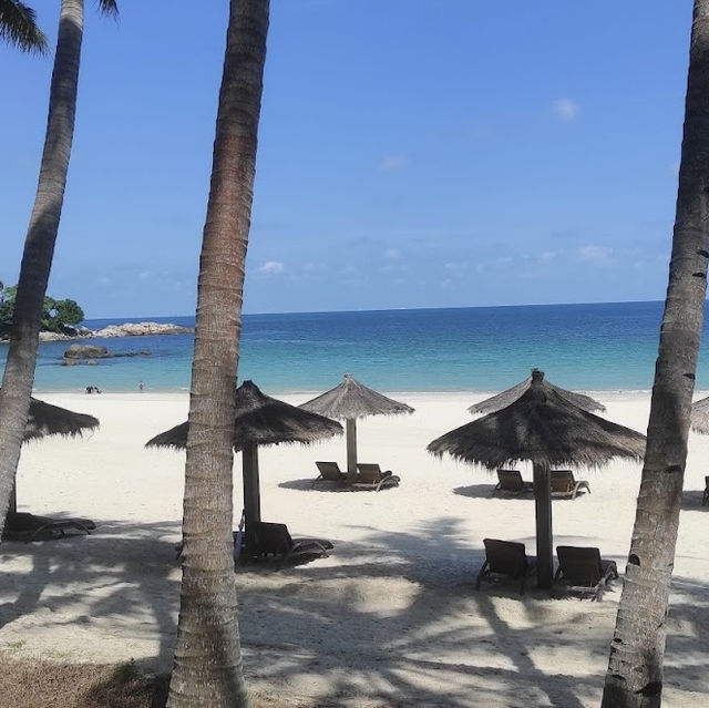 Island Paradise at our Doorstep 