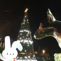 ลานหน้าห้าง เดอะสตรีท รัชดา