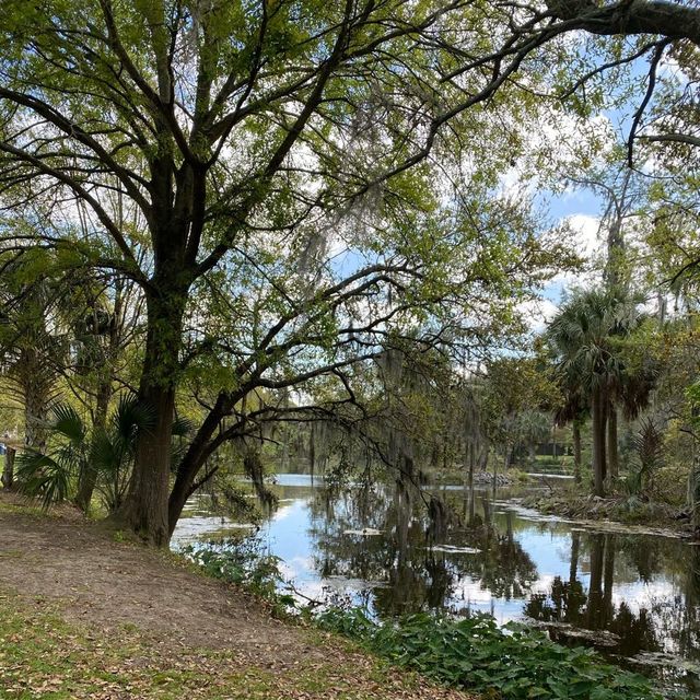 New Orleans City Park 