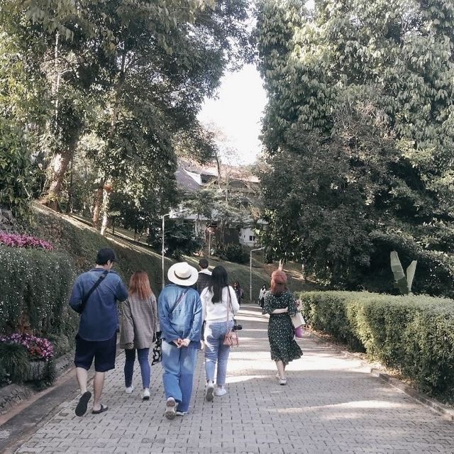 พระตำหนักดอยตุง🌿