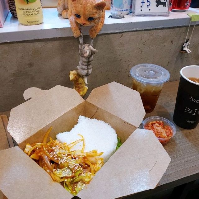 貓貓韓小店