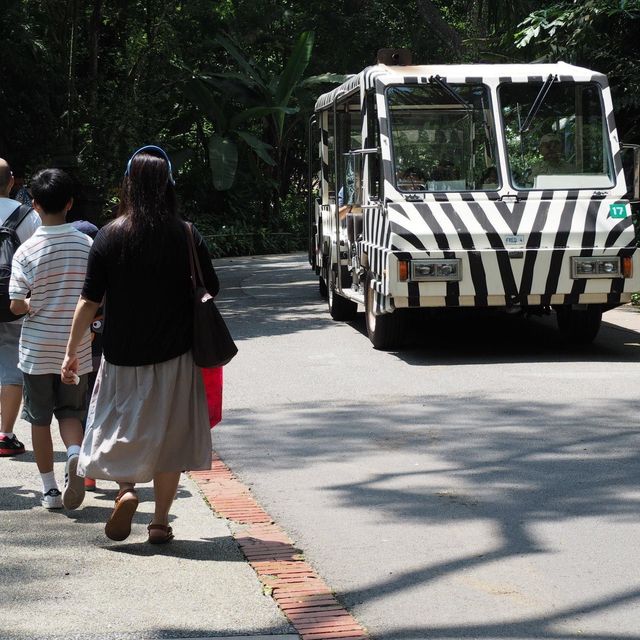 新加坡🇸🇬動物園😌親子好去處