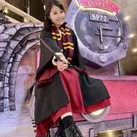 🎄Harry Potter的聖誕魔法世界✨