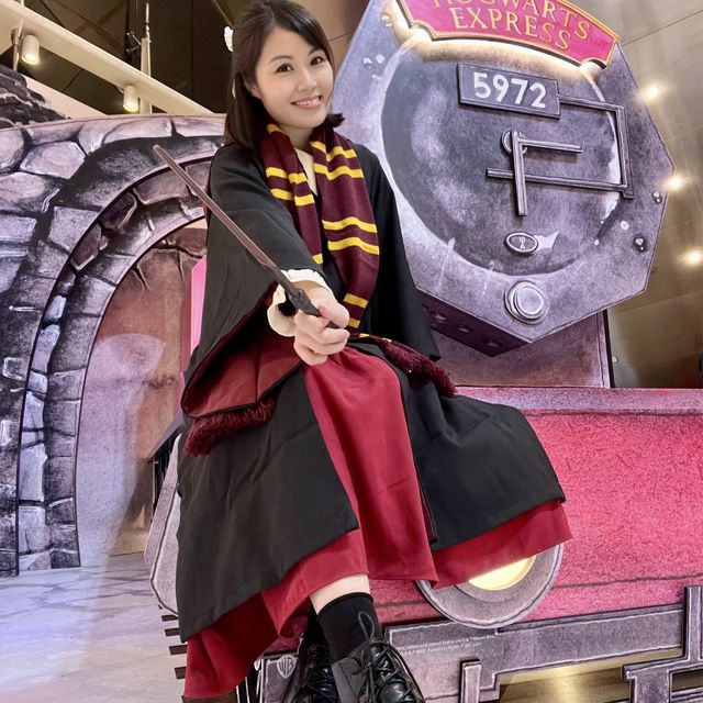 🎄Harry Potter的聖誕魔法世界✨