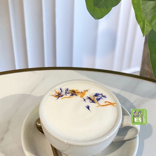 北角最新人同寵物都歡迎嘅美食餐廳