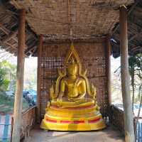 บ้านร่องกล้า