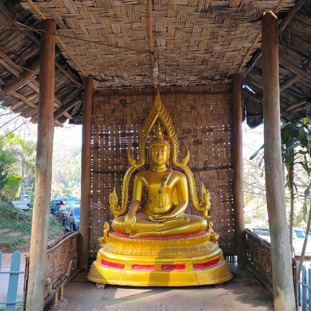 บ้านร่องกล้า