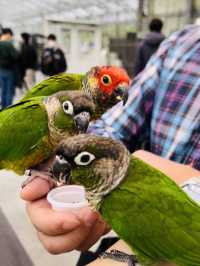 【掛川花鳥園】「花と鳥とのふれあい」が楽しめるテーマパーク