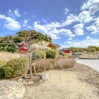 本牧市民公園内の梅と上海横浜友好園