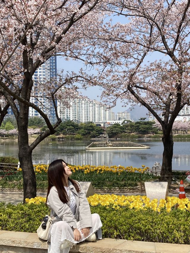 피크닉가기 좋은 김해공원