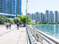 靚海靚景 荃灣海濱長廊