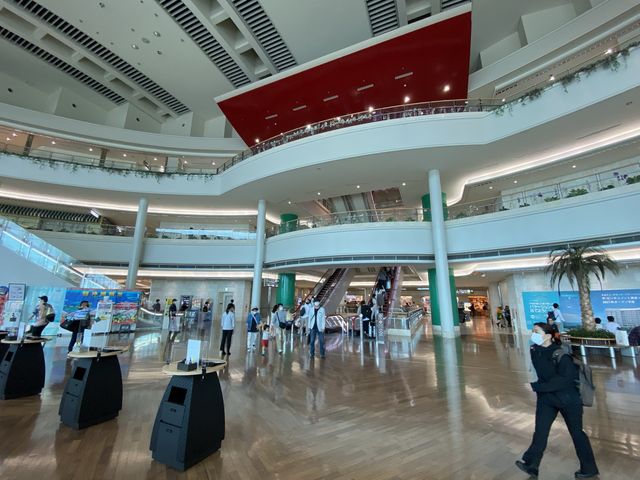 南国ムード漂う那覇空港