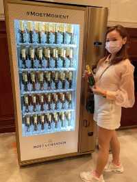 ✾維港海旁中的悠閒酒店✾