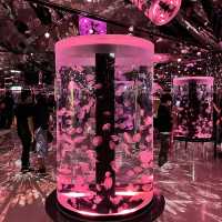 X Park 水族管 