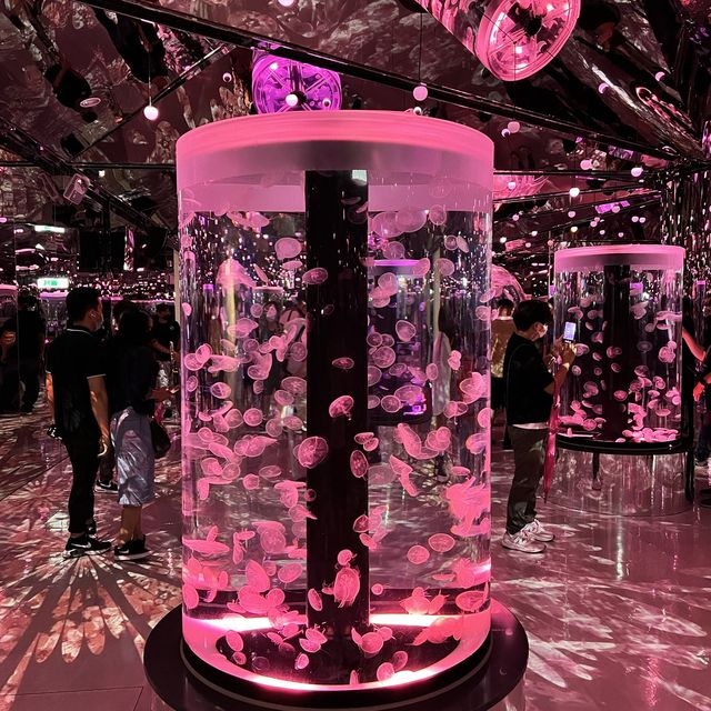 X Park 水族管 