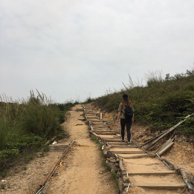 髻山遊