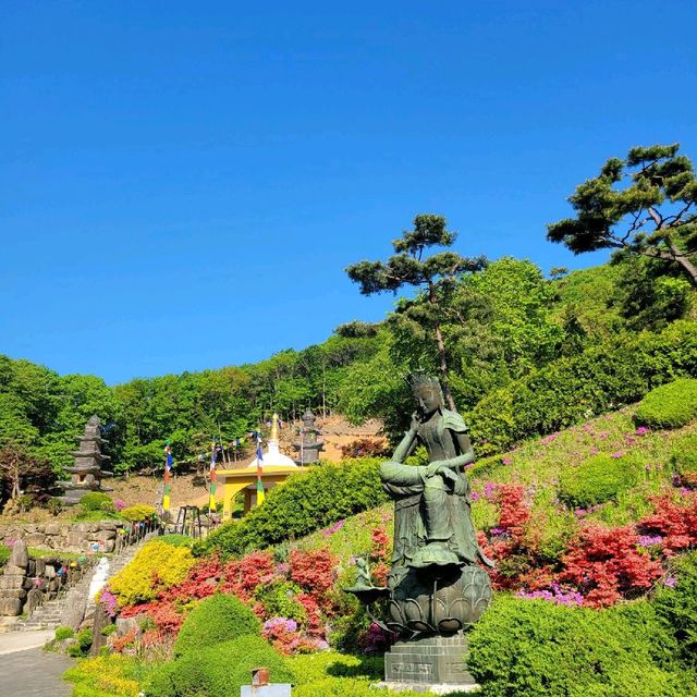용인 와우정사 여름 속 편안함 찾기 🍀
