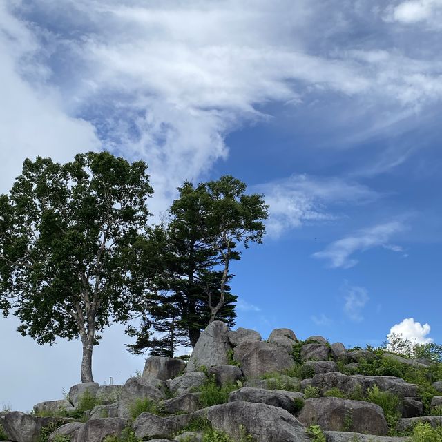 標高1770m！さあ、雲とたわむれよう🌤