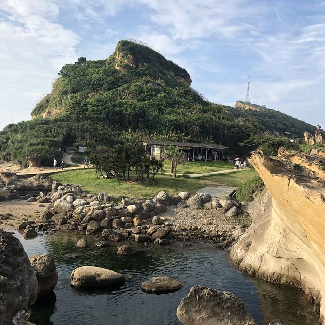 여왕머리바위를 볼 수 있는 대만 예류지질공원 