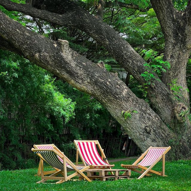 คาเฟ่ที่มีวิวสวนสวยๆ สีเขียวๆสลายตาสุดๆ