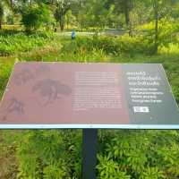 Benjakitti Forest Park