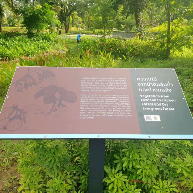 Benjakitti Forest Park