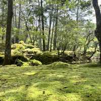 【京都】苔が美しい完全予約制のお寺