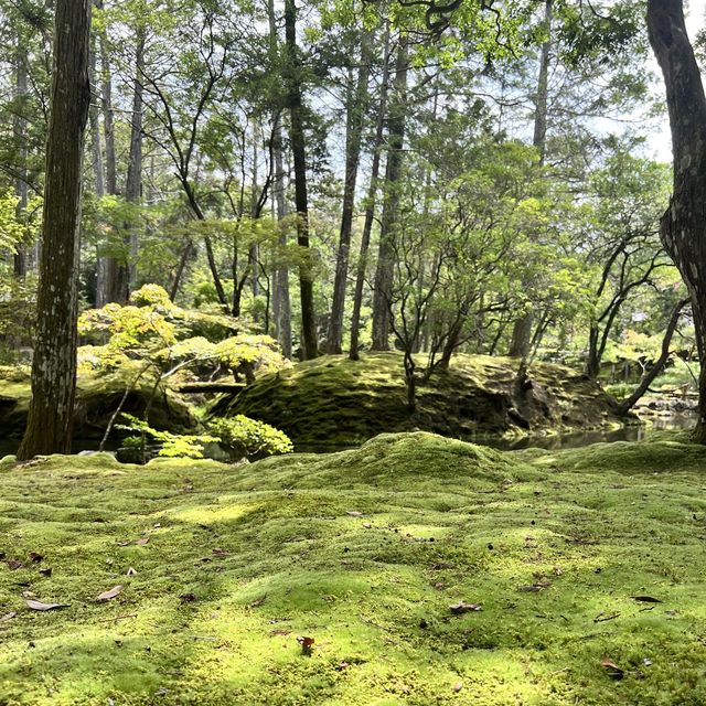 【京都】苔が美しい完全予約制のお寺
