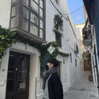 스페인 한 달 여행 day 19 [ 지브롤터, 타리파]
