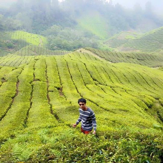 Cameron Highland 