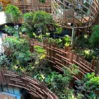 A lush greenery in an amazing hotel.