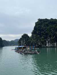 Cat Ba Island 🏝️ 