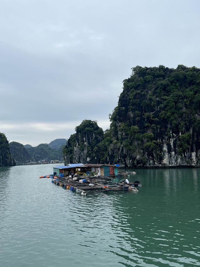 Cat Ba Island 🏝️ 