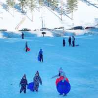 Experience snow ❄️ in Lee Meadows-Las Vegas