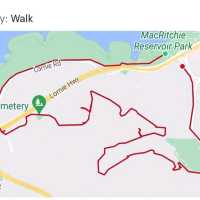 A hike loop from macritchie