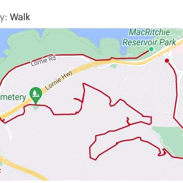 A hike loop from macritchie