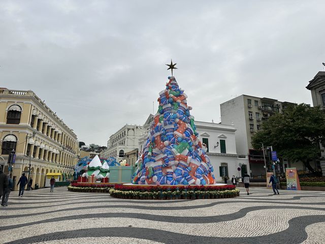 Christmas Feels at San Malo! 
