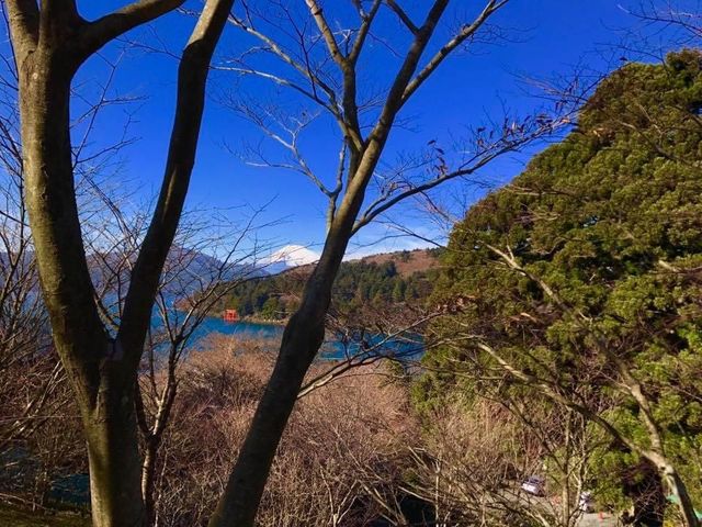 東京攻略 箱根站