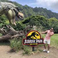 美國🇺🇸夏威夷 ｜ Aloha ！❤️ 自由行🚶🏼